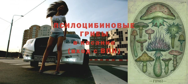молекула духа Алексин